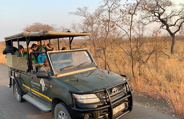 Ultimate Safari to Pilanesberg National Park From Johannesburg