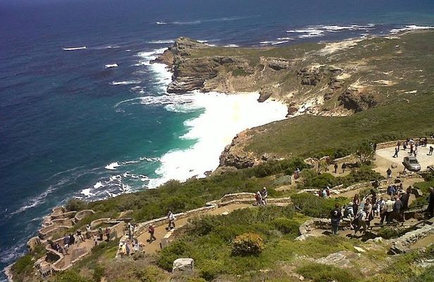 Private Tour with Wine Expert to Cape of Good Hope & Constantia Wine Region