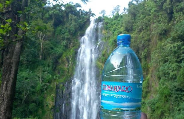 Materuni Waterfalls & Coffee Farm Tour