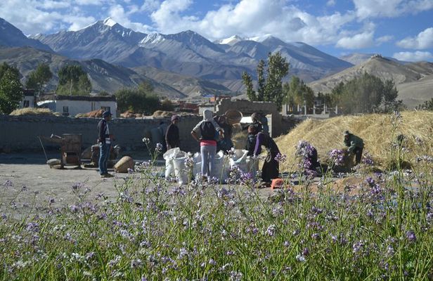 Upper Mustang Trek