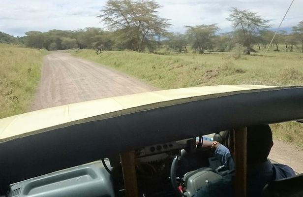 Tour Nairobi National Park