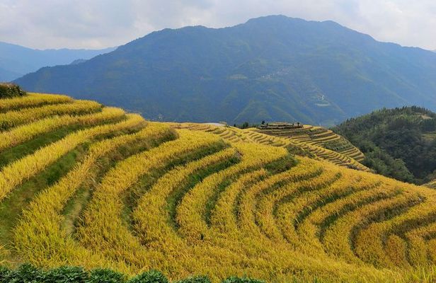 Longji Rice Terraces Day Tour from Guilin hotel