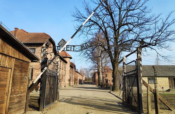 Krakow to Auschwitz Birkenau and Salt Mine 1 Day Tour FREE ebook