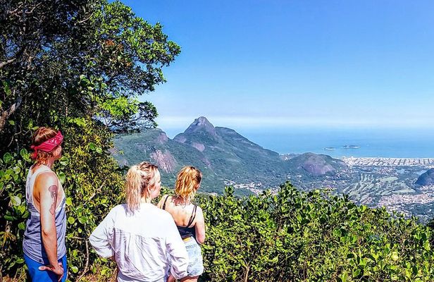 Tijuca Forest Challenge Full-Day Hike (Small-Group or Private)