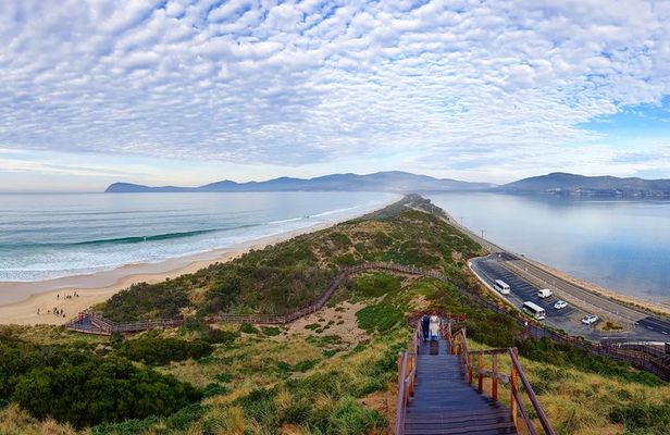 Bruny Island Food, Sightseeing, Guided Lighthouse Tour & Lunch