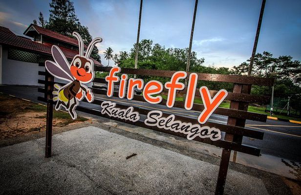 Firefly Tour Include Seafood Dinner with Free Boat Ride from Kuala Lumpur
