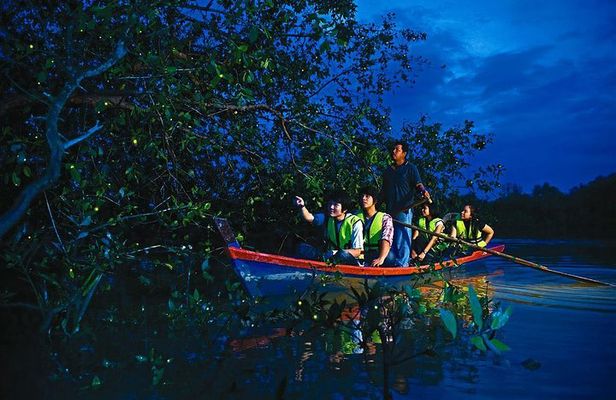 Kuala Selangor Fireflies & Nature Escape – From Kuala Lumpur