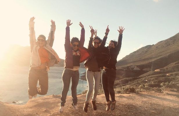 Cape Of Good Hope and Penguins Full Day Small Group Tour from Cape Town