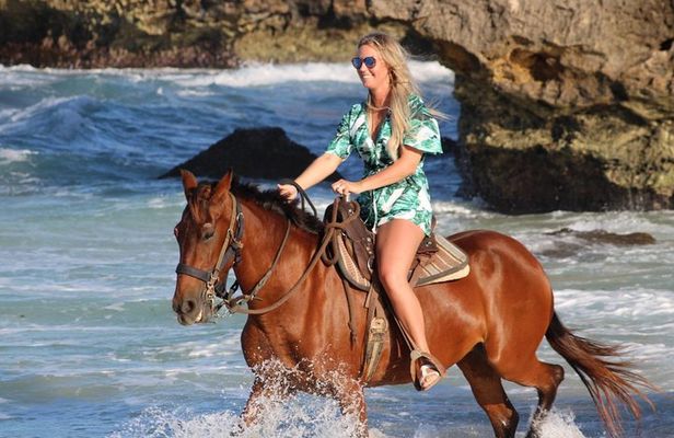 Aruba North Coastline: Small-Group Horseback Riding Tour