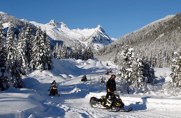 Scenic Snowmobile Tour in Whistler