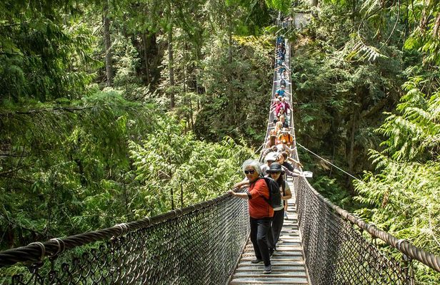 Mesmerizing Nature Walk in Lynn Canyon Park