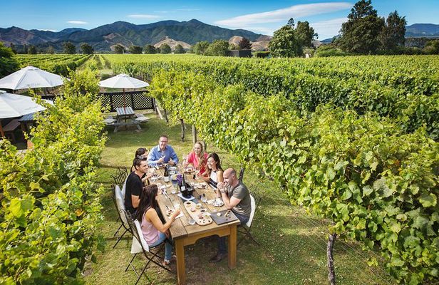 Gourmet Gold Wine Tour: Indulge in Cloudy Bay's finest wines