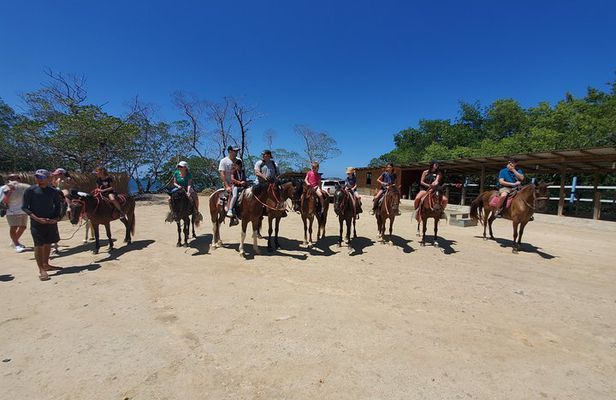Roatan Excursion: Horseback Ride / Plus Sloth Park and Beach Break