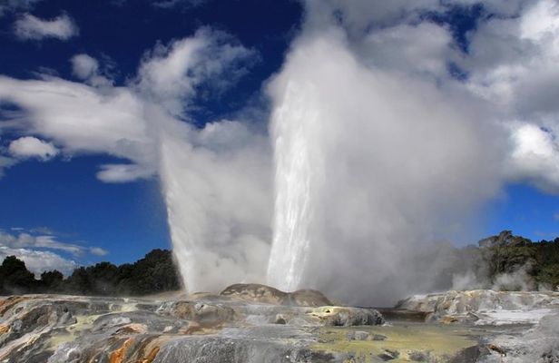 4-Day Wellington to Auckland via Rotorua Tour