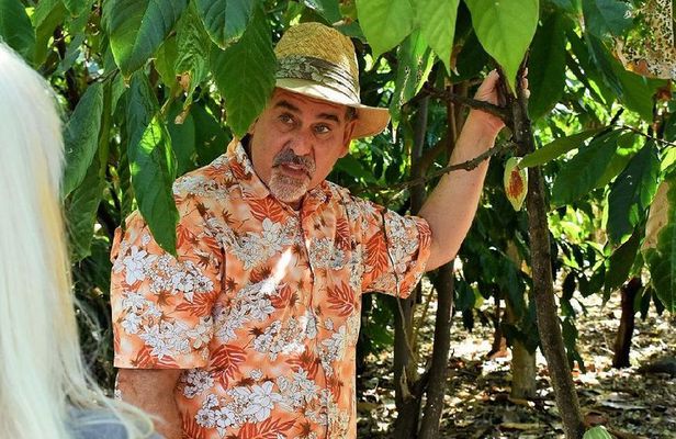 Coffee and Chocolate Tours