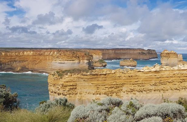 Private 12 Apostles or Melbourne Tour - Shore Excursion