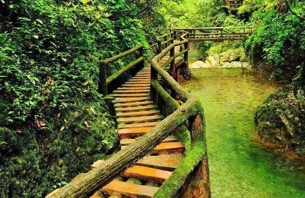 Private 1 day drive: Dujiangyan Irrigation and Mt. Qingcheng