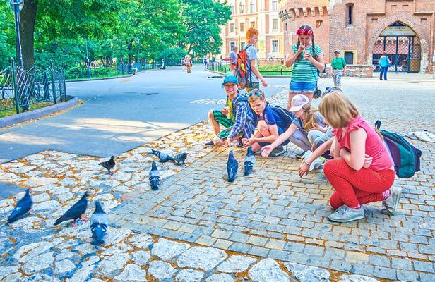 Family Tour of Krakow Old Town with Sweets Factory & Cruise