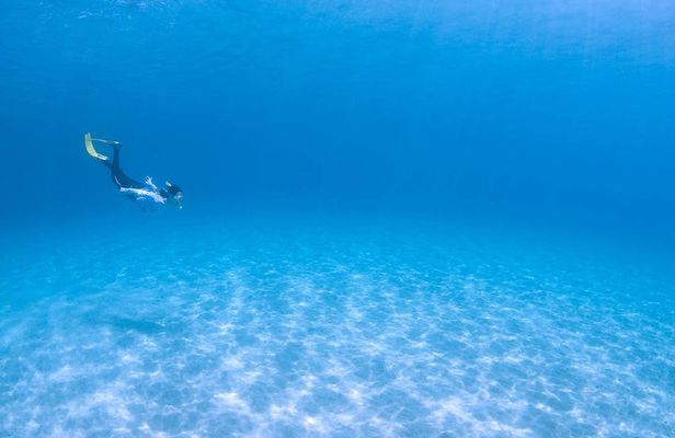 Let's swim with sea turtles in Yakushima!Snorkeling Tour
