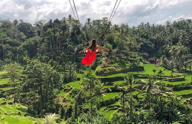 Ubud: Monkey Forest, Jungle Swing, Rice Terrace and Water Temple