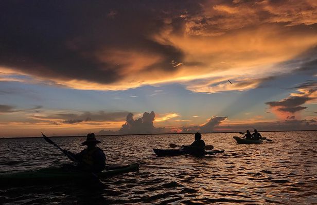 Florida Sunset and Bioluminescence Package