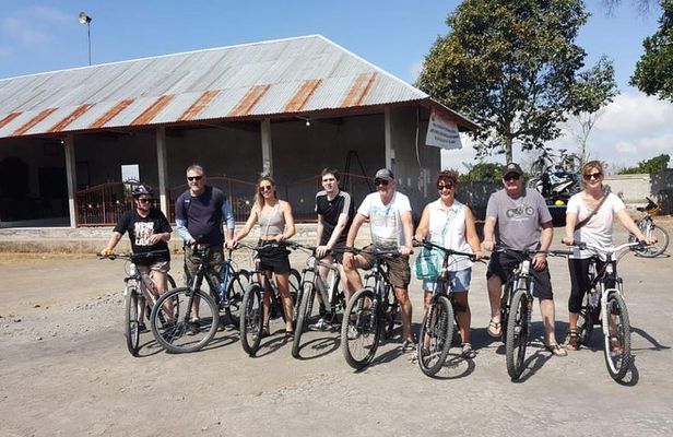 Down Hill Cycling Tours