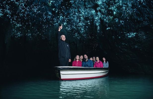 Waitomo Glowworm Caves In a Private Small Group Tour-Auckland.
