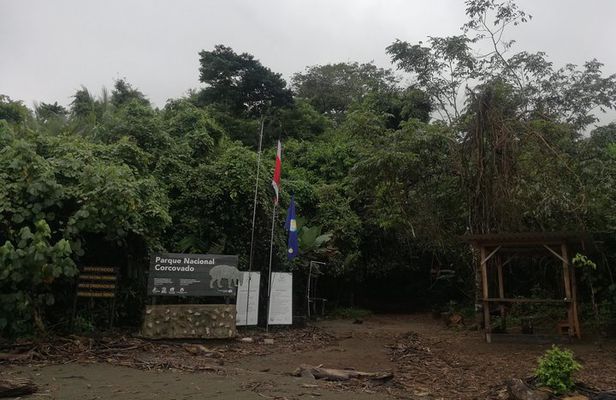 Corcovado Siren Overnight: Sleep in the most bio-intense forest.