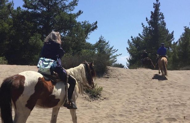 Horse Ride & BBQ in Ritoque Beach&Dunes FROM VALPO. Private Tour