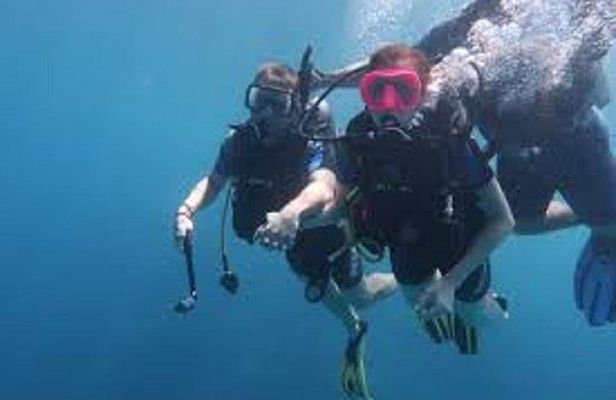 Portghalib Intro Diving Trip From Marsa Alam