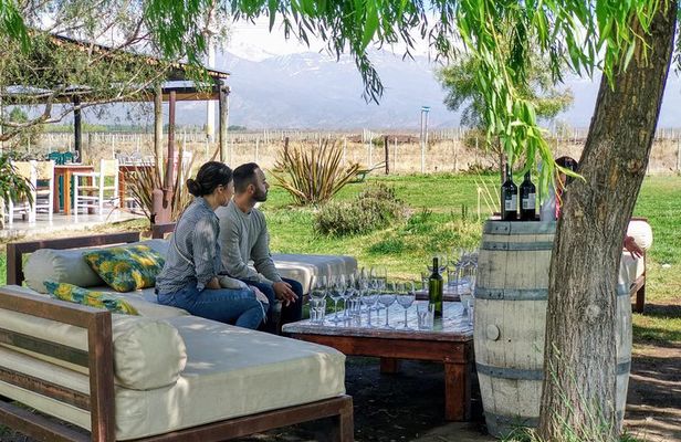 Uco Valley Wineries Day with Private Driver