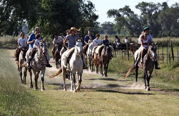 Experience the life of the Argentine gaucho through its flavors