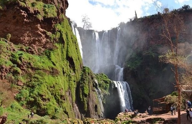  From Marrakech: Ouzoud Waterfalls Guided Tour & Boat Ride