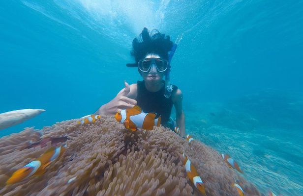 Snorkel the Beautiful Blue Lagoon