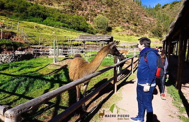 Tour to Sacred Valley: Tour Pisaq, Ollantaytambo, and Chinchero.