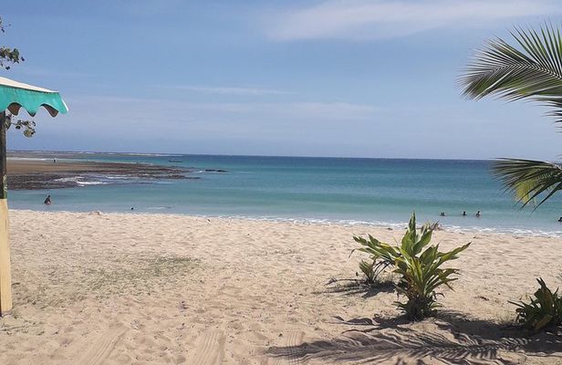 Discover Coral Coast & Natadola Beach Tour