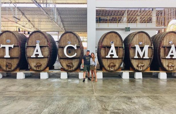1 Day Tour to Huacachina from Lima (Dunebuggy + Vineyards)