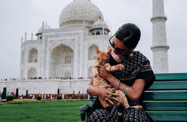 Agra Half-Day Tour of Taj Mahal and Agra Fort by Car