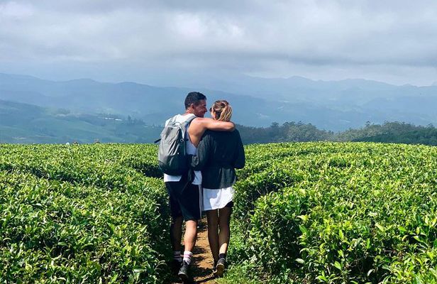 A Day in Nuwara Eliya: Sights & Local Delights