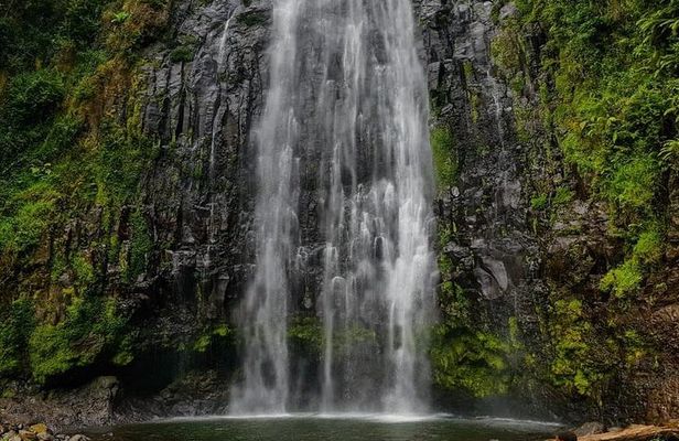 Materuni Waterfall and Coffee tour, Tanzania