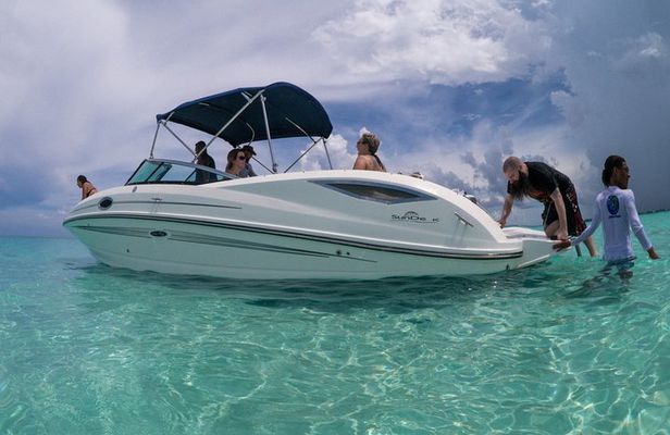 Small Group VIP Stingray City & Snorkel Encounter with Snacks