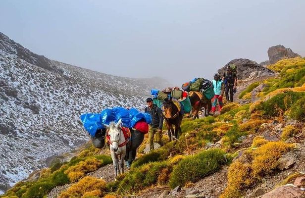 Trekking in High Atlas Mountains 4 days