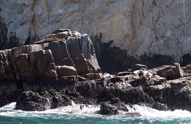 Private Los Cabos Arch & Playa del Amor tour by Glass bottom kayak