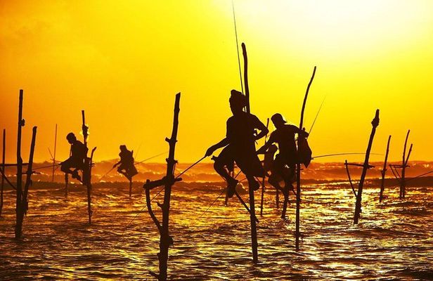 7 Night in Sri Lanka Heritage Private Tour
