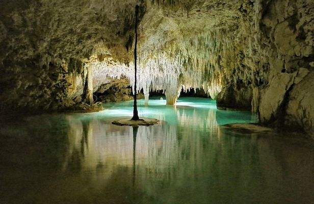 Hidden Cenote exploration in Playa del Carmen