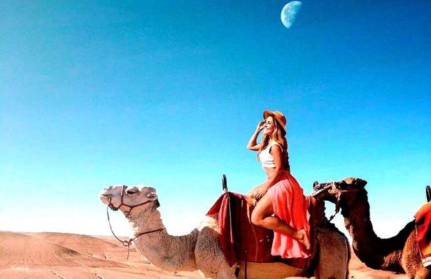 Magical dinner on sunset in Agafay desert and Camel Ride