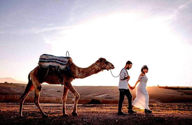 Marrakech: Agafay desert, Magical dinner & sunset and camel ride