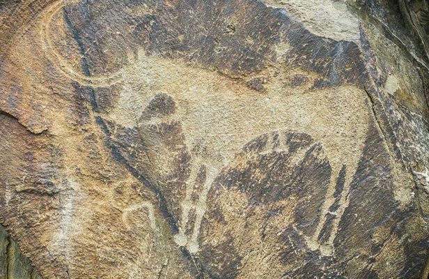 Day Trip to Tanbaly Petroglyphs