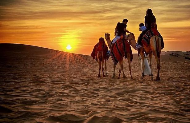 Quad Bike Self-drive & Camel Trekking Experience In Red Dunes Desert