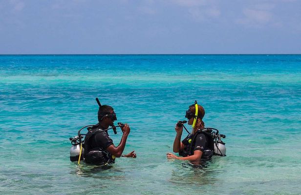 Try your Intro diving in Hurghada